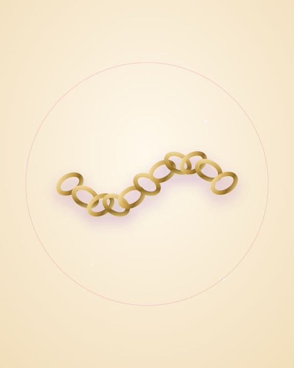 Chains