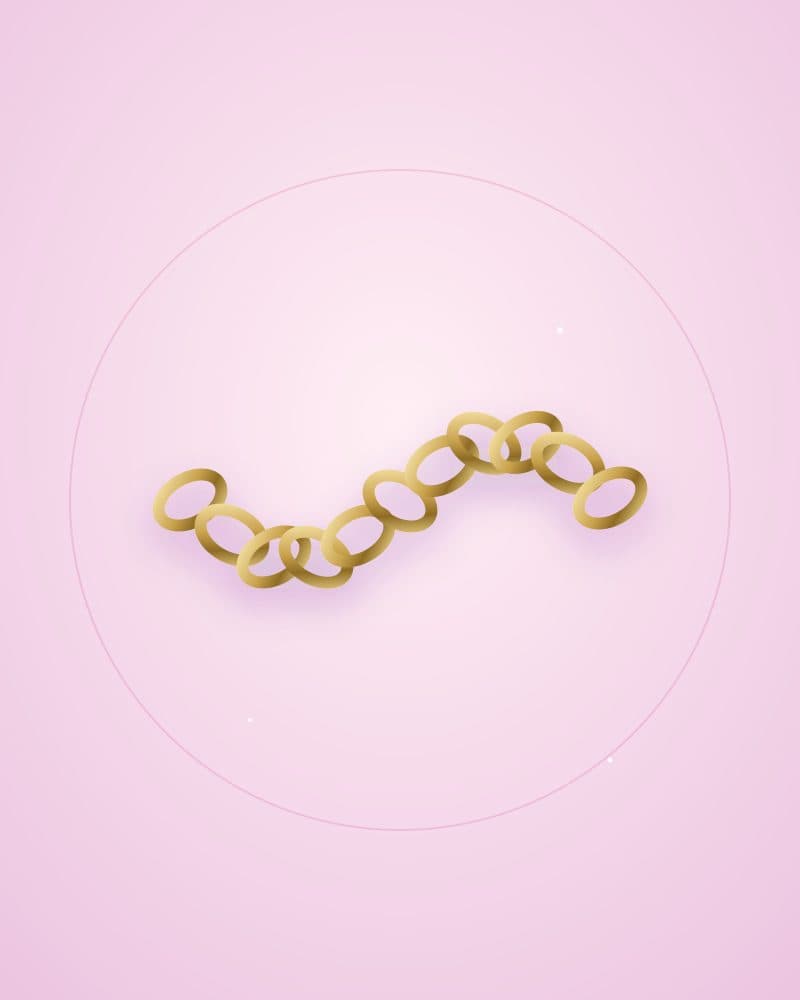 Titan Cuban Link Chain